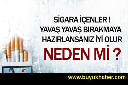 Evlerde de sigara yasağı geliyor !