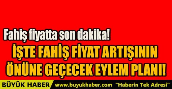 FAHİŞ FİYAT ARTIŞININ ÖNÜNE GEÇECEK EYLEM PLANI