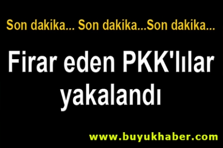 Firar eden PKK'lılardan 17'si yakalandı