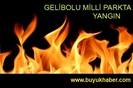 Gelibolu Yarımadası Milli Parkı’nda yangın