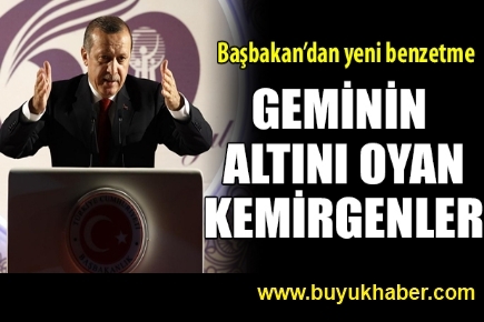 Geminin altını oyan kemirgenler!