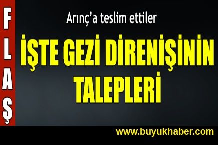 Gezi Parkı direnişçileri taleplerini açıkladı