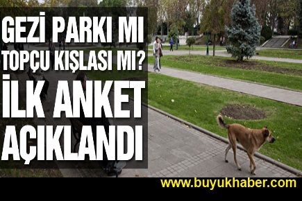Gezi Parkı için ilk anket