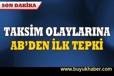 Gezi Parkı olaylarına AB'den ilk tepki