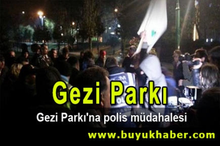 Gezi Parkı'nda polis müdahalesi