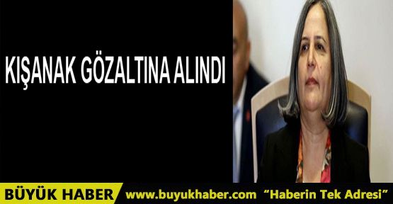 Gültan Kışanak ve Fırat Anlı gözaltına alındı