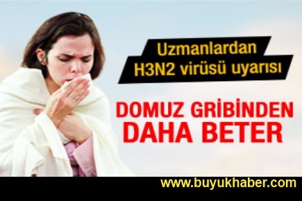 H3N2 virüsü domuz gribinden beter