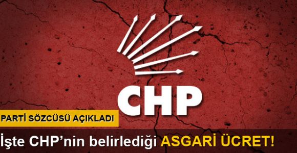Haluk Koç CHP'nin belirlediği asgari ücreti açıkladı