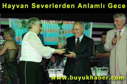 Hayvan Severlerden Anlamlı Gece