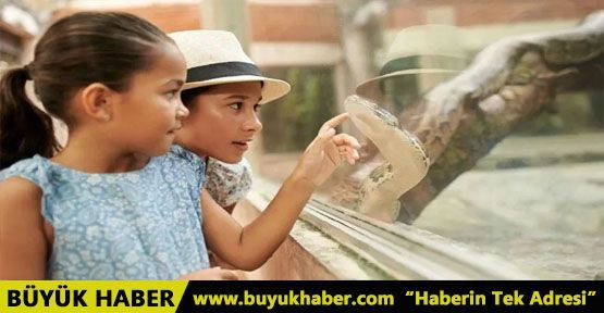 Hayvanat bahçelerine yeni düzenleme