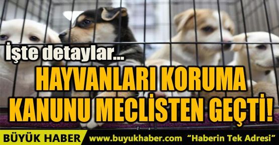 HAYVANLARI KORUMA KANUNU MECLİSTEN GEÇTİ