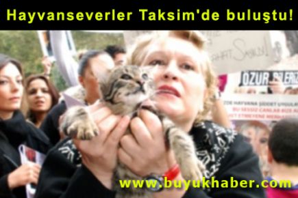 Hayvanseverler Taksim'de buluştu!