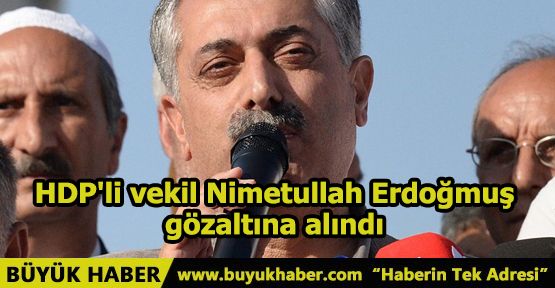 HDP'li vekil Nimetullah Erdoğmuş gözaltına alındı