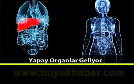 Her Organ Laboratuvarda Yapılabilecek!