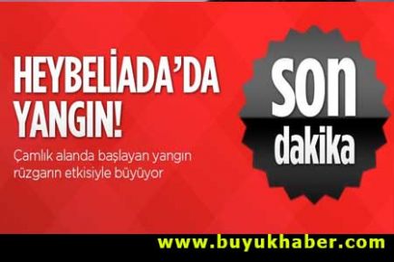 Heybeliada'da yangın çıktı
