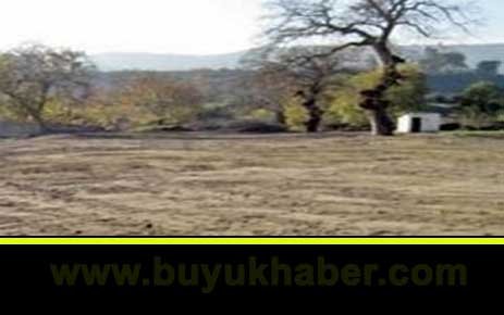 İçlerinde cin var diyerek ispirto içirdiler iddiası
