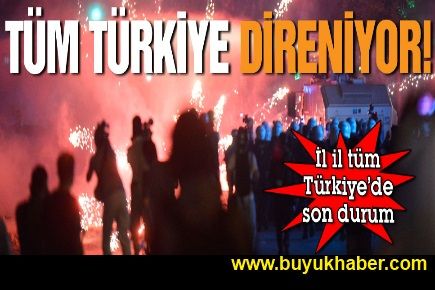 İl il Gezi Parkı direnişi