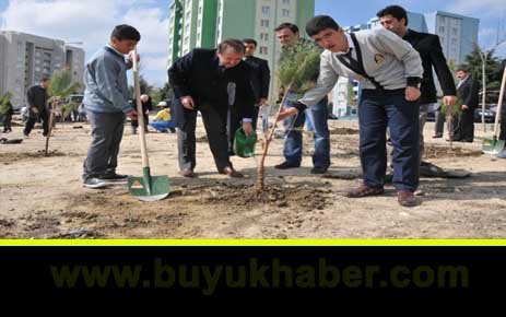 İLKÖĞRETİM ÖĞRENCİLERİNDEN AĞAÇLANDIRMA SEFERBERLİĞİ.