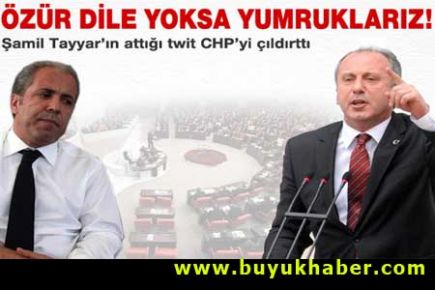 İnce'den Tayyar'a: Özür dile yoksa yumruklarız