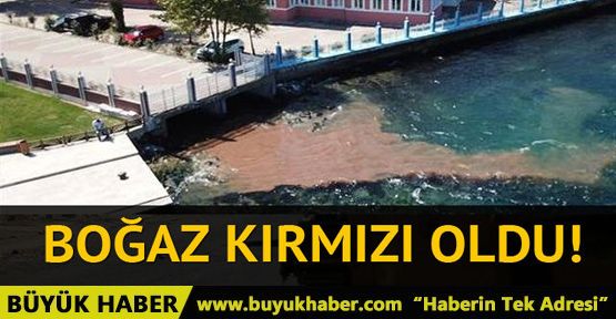 İstanbul Boğazı kana bulandı