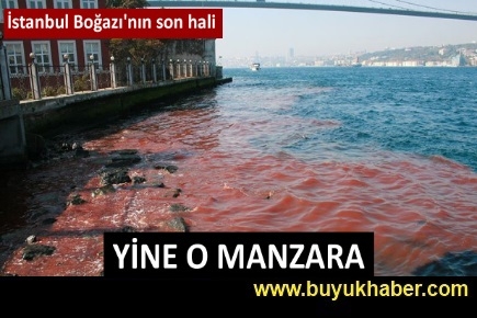 İstanbul Boğazı yine kan gölüne döndü