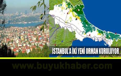 İstanbul'a iki kent ormanı kuruluyor