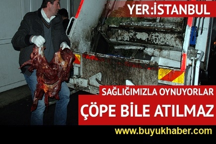 İstanbul'da kaçak et operasyonu