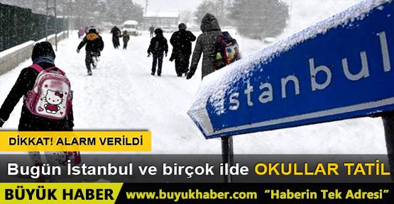 İstanbul'da kar yağışı okulları tatil etti