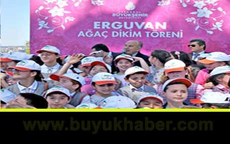 İstanbul'u büyülü çiçek sarıyor.