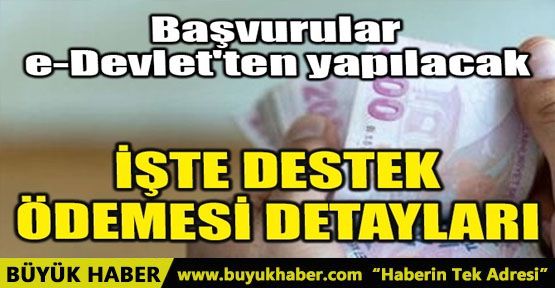 İŞTE DESTEK ÖDEMESİ DETAYLARI