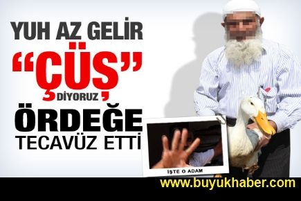 İşte ördeğe tecavüz eden o adam