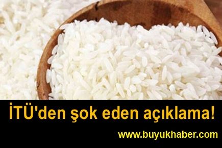 İTÜ'den GDO'lu pirinç açıklaması