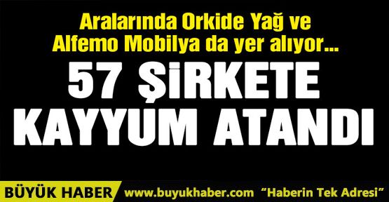 İzmir’de 57 şirkete kayyum