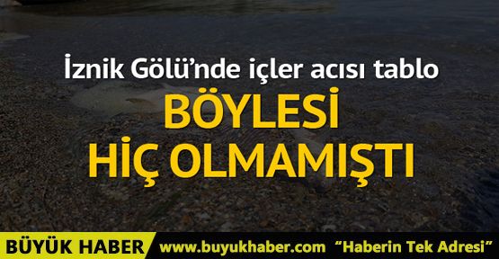 İznik Gölü'nde şok balık ölümleri