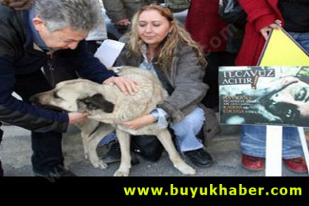 Kaçırdığı köpeğe tecavüz ederken yakalandı