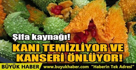 KANI TEMİZLİYOR VE KANSERİ ÖNLÜYOR