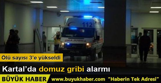 Kartal'da domuz gribi alarmı: Ölü sayısı 3'e yükseldi