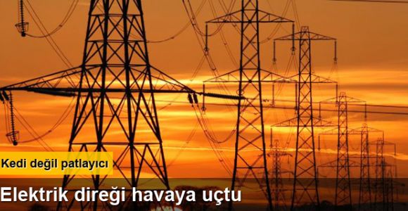 Kedi değil patlayıcı: Teröristler Silopi’de elektrik direği havaya uçurdu