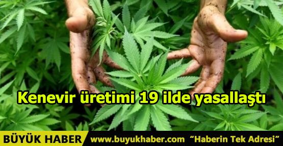 Kenevir üretimi 19 ilde yasallaştı