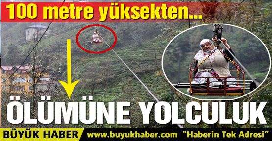 Kumaların teleferikle tehlikeli yolculuğu