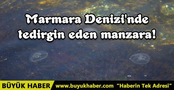 Marmara Denizi'nde tedirgin eden manzara!