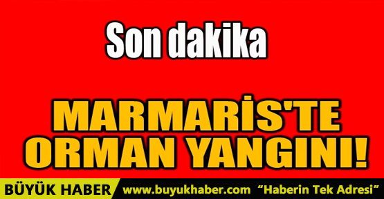 MARMARİS'TE ORMAN YANGINI!