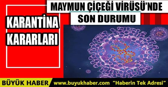 MAYMUN ÇİÇEĞİ VİRÜSÜNDE SON DURUM