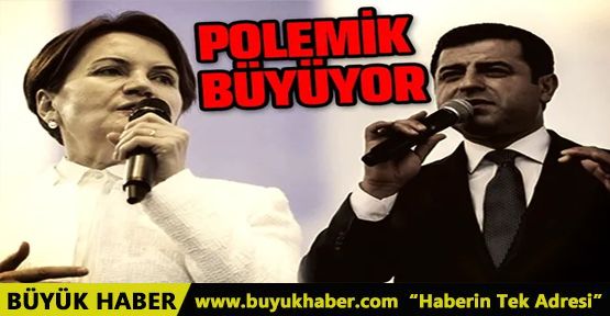 Meral Akşener'in o sözlerine Demirtaş'tan cevap geldi!