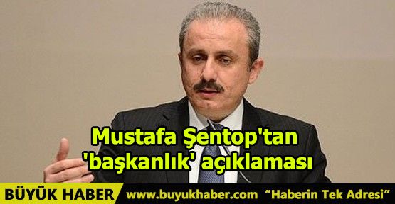 Mustafa Şentop'tan 'başkanlık' açıklaması