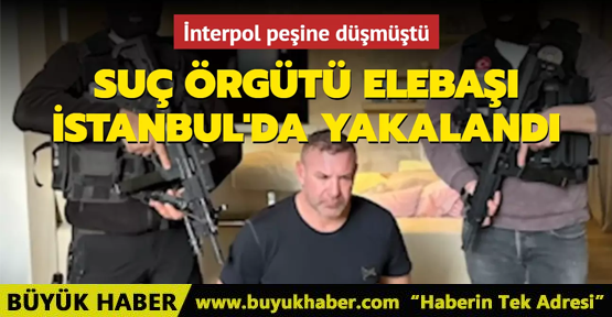 Organize suç örgütü elebaşı İstanbul'da yakalandı