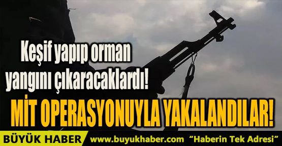 ORMAN YANGINI ÇIKARACAKLARDI! MİT OPERASYONUYLA YAKALANDILAR!