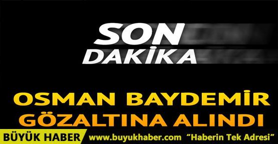 Osman Baydemir gözaltına alındı