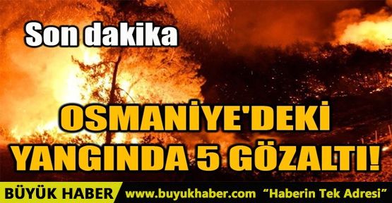 OSMANİYE'DEKİ YANGINDA 5 GÖZALTI!