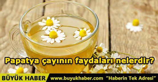 Papatya çayının faydaları nelerdir?